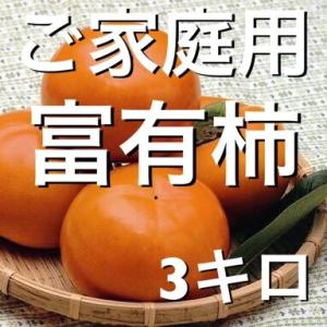 早割　柿　訳あり　富有柿3キロ（8〜20玉前後入り）　超お買い得　　2022年産