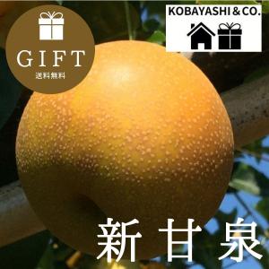 早割　梨　ギフト　新甘泉1.5kg（５玉）　送料無料　2024年産予約｜kobayashi-busan