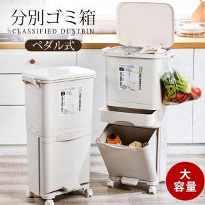 ゴミ袋付き ゴミ箱 2段 3段 分別ごみ箱 大容...の商品画像