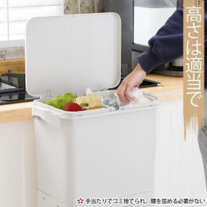 ゴミ袋付き ゴミ箱 2段 3段 分別ごみ箱 大...の詳細画像2