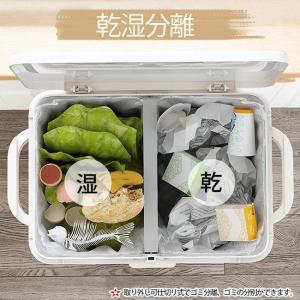 ゴミ袋付き ゴミ箱 2段 3段 分別ごみ箱 大...の詳細画像3