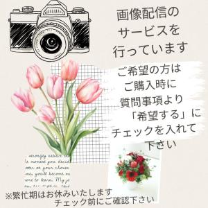 お盆 仏花 お供え 生花 フラワーアレンジメン...の詳細画像3
