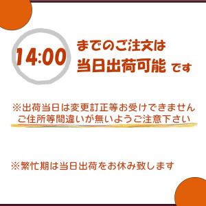 お盆 仏花 お供え 生花 フラワーアレンジメン...の詳細画像4