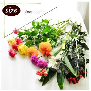 誕生日 花 花束 切花 生花 自宅 おうち時間...の詳細画像3