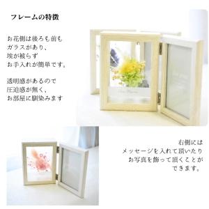 ドライフラワー 花 誕生日 フォトフレーム ド...の詳細画像5