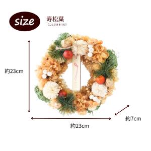 花 ドライフラワー お正月ドライリース リース...の詳細画像2