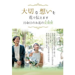 【定期便12カ月】 お供え花 命日 月命日 花...の詳細画像1