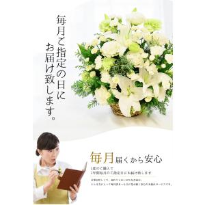 【定期便12カ月】 お供え花 命日 月命日 花...の詳細画像2