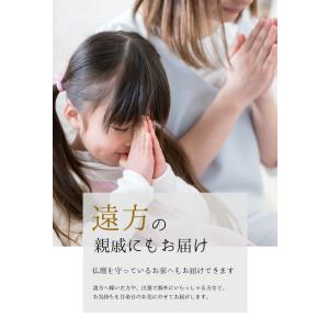 【定期便12カ月】 お供え花 命日 月命日 花...の詳細画像4