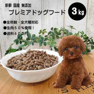 vetoquinol 【あすつく】【2袋セット】【犬用】【フレキサディン