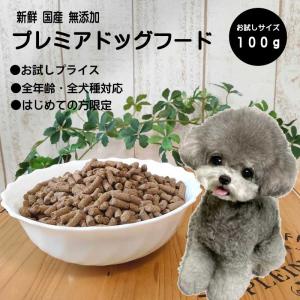 【初回限定】新鮮国産ドッグフード 100g 着色 保存料 無添加 国産 ナチュラル 小型犬 成犬 幼犬 小粒 ペットフード 低アレルゲン ドライフード サンプル お試し