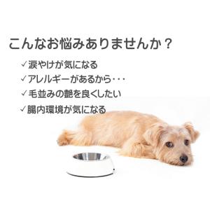 【初回限定】新鮮国産ドッグフード 100g 着...の詳細画像1