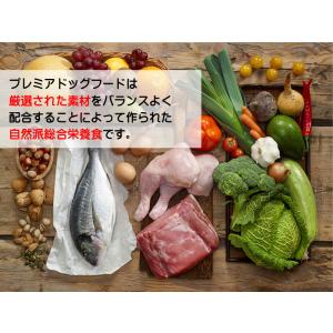 【初回限定】新鮮国産ドッグフード 100g 着...の詳細画像2