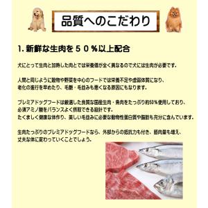 【初回限定】新鮮国産ドッグフード 100g 着...の詳細画像3