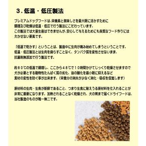【初回限定】新鮮国産ドッグフード 100g 着...の詳細画像5