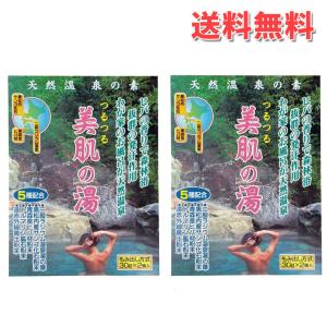 天然温泉の素 つるつる美肌の湯 30g×4個 2...の商品画像