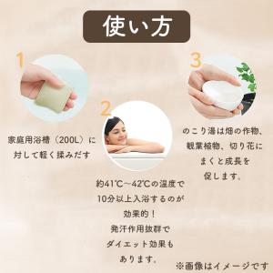 天然温泉の素 つるつる美肌の湯 30g×4個 ...の詳細画像3