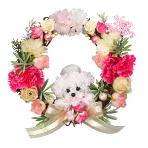 カーネーション プードル 花 ガーデニング の商品一覧 通販 Yahoo ショッピング