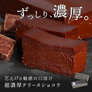 【 訳あり 】テリーヌショコラ 1本 送料無料 スイーツ 冷凍 ガトーショコラ テリーヌ チョコ 生チョコ お取り寄せ ギフト 母の日 プレゼント 訳アリ Patico