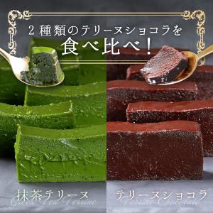 テリーヌショコラ 抹茶テリーヌ 食べ比べセット...の詳細画像1