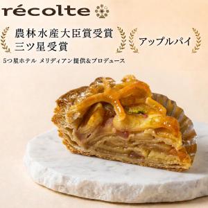 パン何個買っても送料1200円！アップルパイ 1ピース