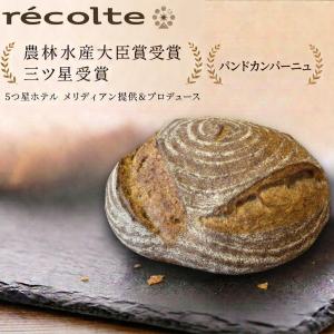 パン何個買っても送料1200円！火曜日以外の出荷限定 限定商品 カンパーニュ ハーフサイズ１個