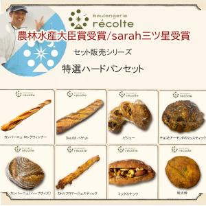 【特選ハードパンセット】神戸レコルト 農林水産大臣賞の焼きたてパン 人気クロワッサン ハードパン バゲット 無添加