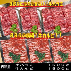 バーベキュー 食材 セット 焼肉セット 3kg...の詳細画像1