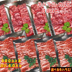バーベキュー 食材 セット 焼肉セット 4kg ...の商品画像