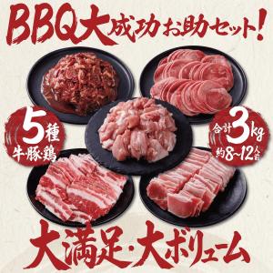 BBQセット 肉 バーベキュー 食材 セット ...の詳細画像3