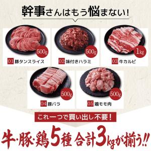 BBQセット 肉 バーベキュー 食材 セット ...の詳細画像4