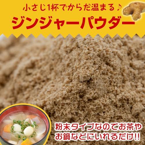 ジンジャーパウダー 100g しょうが ゆうパケット送料無料