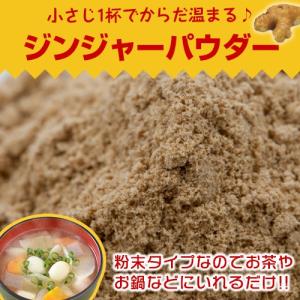 ジンジャーパウダー 250g しょうが