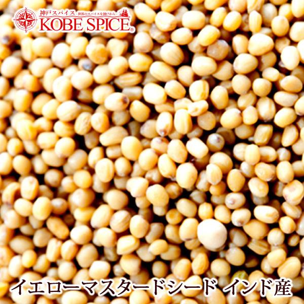 イエローマスタードシード インド産 1kg / 1000g 常温便  スパイス