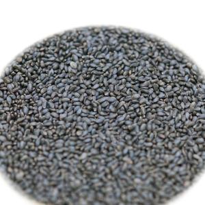 スイートバジルシード 100g メール便