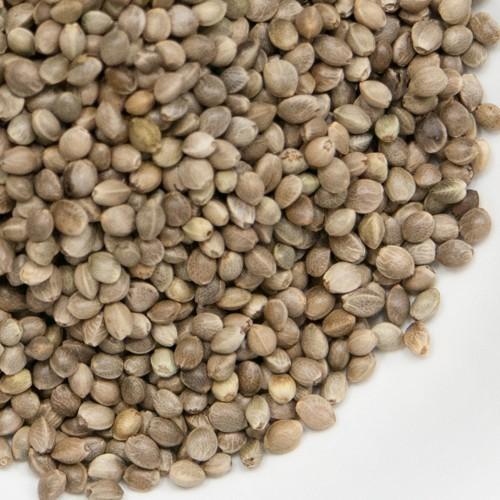 麻の実 ヘンプシード 10kg (1kg×10袋) Hemp Seeds