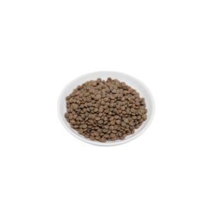 レンズ豆 皮付き 1kg Lentilsの詳細画像1