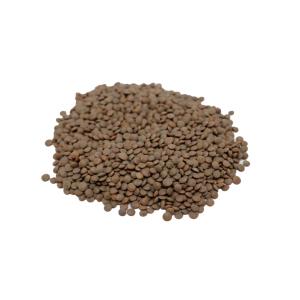 レンズ豆 皮付き 1kg Lentilsの詳細画像2