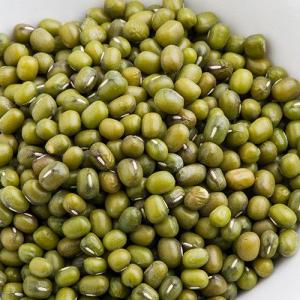 ムング豆 皮付き 10kg 乾燥豆