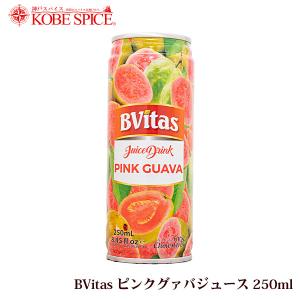 BVitas ピンクグァバジュース 250ml×3本 常温便 ジュース｜