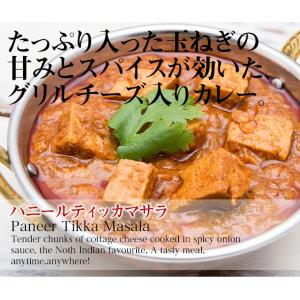 レトルトカレー MTR パニールティッカマサラ...の詳細画像3