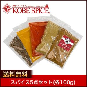 スパイス5点セット 各100g ゆうパケット送料無料 スパイスセット