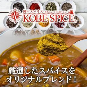 カレー粉 400g 5種類から選べるカレーパウ...の詳細画像1