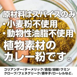 カレー粉 400g 5種類から選べるカレーパウ...の詳細画像4