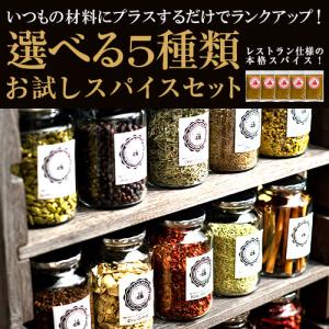 定番スパイスお試し福袋セット 14種類からよりどり5品 20g×5袋 ゆうパケット送料無料