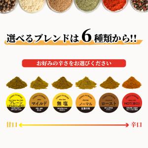 6種類から4つ選べるカレーパウダー100g×4...の詳細画像1