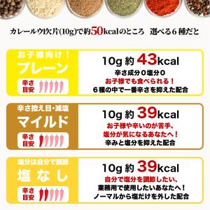 6種類から4つ選べるカレーパウダー100g×4...の詳細画像2