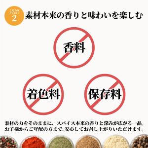 6種類から4つ選べるカレーパウダー100g×4...の詳細画像5