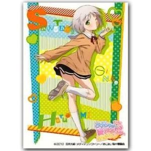 カードダスマスターズ オフィシャル スリーブ コレクション マクロスF