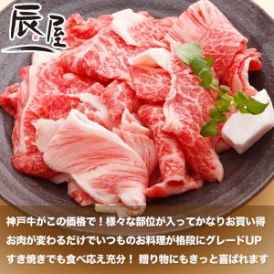 神戸牛 切り落とし肉 計り売り 100g/1,...の詳細画像3
